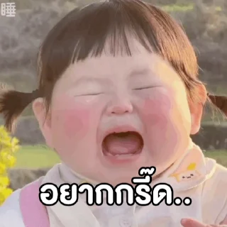 Video sticker 😡 瑶一瑶 เหยาอี้เหยา @LINE_Stickers1