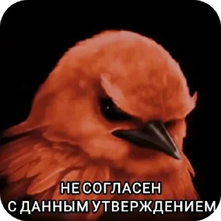 Telegram sticker 🐦 Птица Вряд-ли 2 @StickerChest