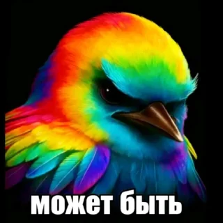 Video sticker 🐦 Птица Вряд-ли 2 @StickerChest