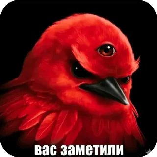 Telegram sticker 🐦 Птица Вряд-ли 2 @StickerChest