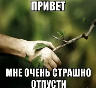 Video sticker 🌟 Made by roker :: @fStikBot