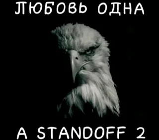 Telegram stiker 🌟 Made by roker :: @fStikBot