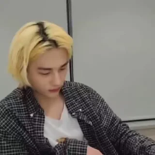 Video sticker 😵‍💫 stray toddlers :: @fStikBot