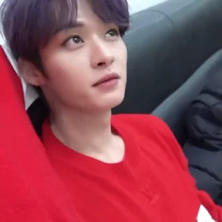 Video sticker 😅 stray toddlers :: @fStikBot