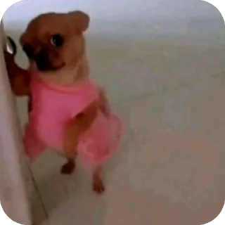 Video sticker 😶‍🌫️ TikTok men