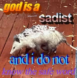 Video sticker 🤔 amits kang pack 1