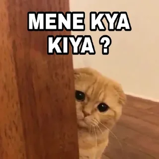 Video sticker 🍁 @Thor_God_Of_Thunderrr's Pack 11