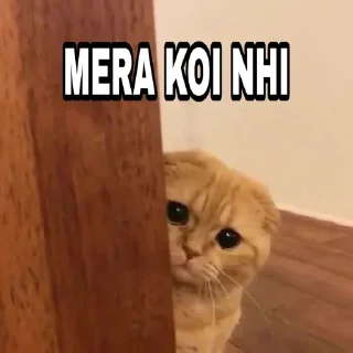 Telegram sticker 🍁 @Thor_God_Of_Thunderrr's Pack 11