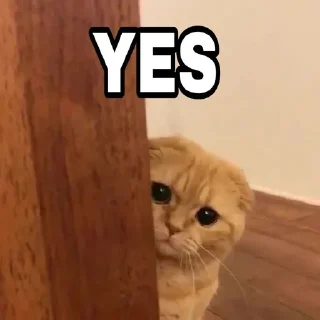 Telegram sticker 🍁 @Thor_God_Of_Thunderrr's Pack 11