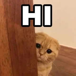 Sticker 🍁 @Thor_God_Of_Thunderrr's Pack 11