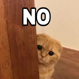 Telegram sticker 🍁 @Thor_God_Of_Thunderrr's Pack 11