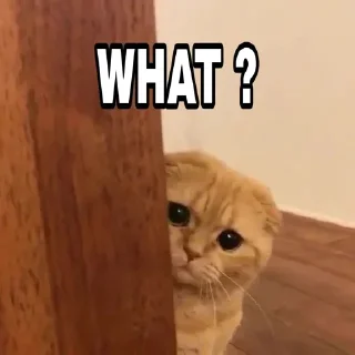 Telegram sticker 🍁 @Thor_God_Of_Thunderrr's Pack 11