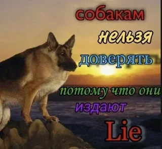Telegram sticker 👆 Больше стиков тут: @stikery4
