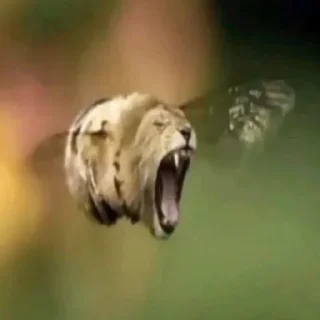 Sticker 😡 стики тут -> @stcksound