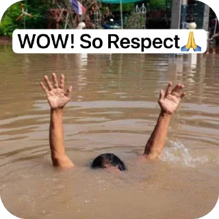 Video sticker 🫡 MEME