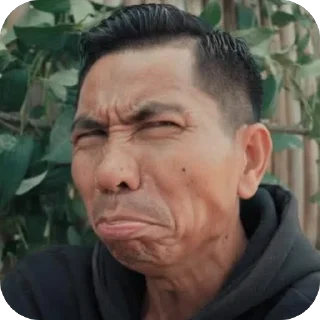 Telegram sticker 🤨 MEME