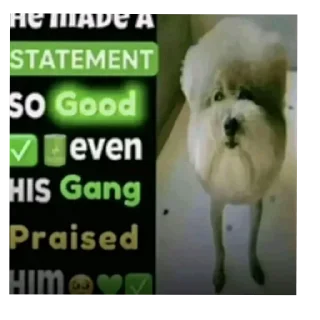 Telegram sticker 🐶 🇺🇦🥺🥺піська
