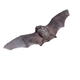 Video sticker 🦇 Эпизодический террор 2