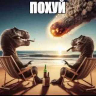 Video sticker 😘 Стикеры от +
