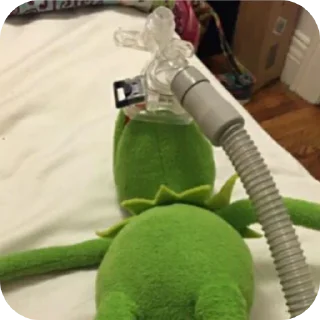 Video sticker 🧸 الخزامى