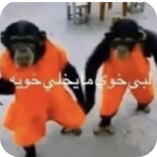 Телеграм стикер 🧥 الخزامى