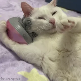 Video sticker 😌 Больше стиков тут: @stikery4