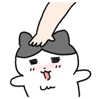 Video sticker ⭐ 탱고는 야옹 4 @moe_sticker_bot