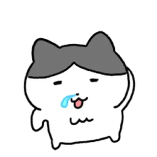 Video sticker ⭐ 탱고는 야옹 4 @moe_sticker_bot