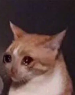 Video sticker 😿 رياكشن