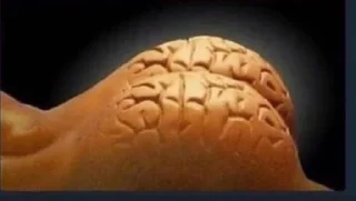 Video sticker 🍑 رياكشن