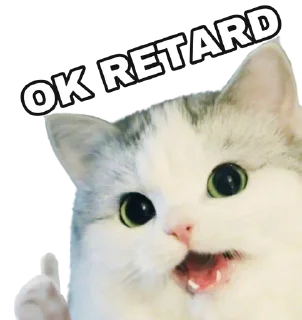 Video sticker 😺 white Cats @stivenom0