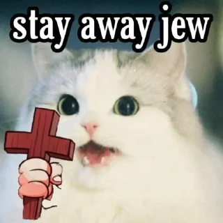 Telegram sticker 😺 white Cats @stivenom0