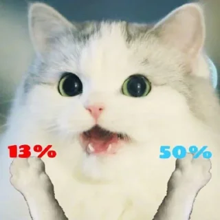 Telegram sticker 😺 white Cats @stivenom0