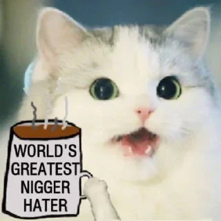 Telegram sticker 😺 white Cats @stivenom0