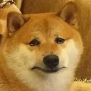 Telegram sticker ☹ DUGESH :: @fStikBot