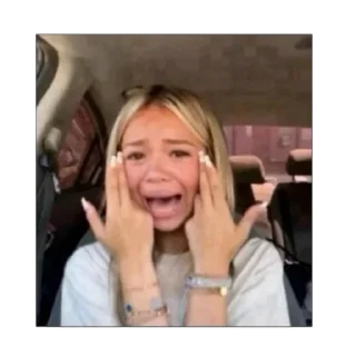 Telegram sticker 🫥 sarah 🧚🏻‍♀️