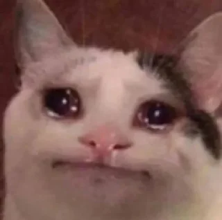 Video sticker 🥺 ديجه استار🧚🏻‍♀️