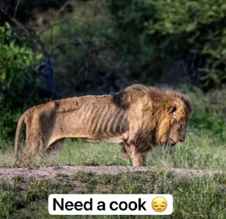 Telegram sticker 🌟 Jude pack :: @fStikBot