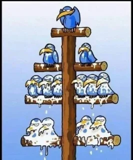 Video sticker 🌟 Jude pack :: @fStikBot