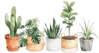 Sticker 📌 @wisdom_droplets 7 — @stckrRobot