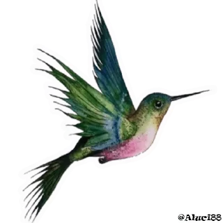 Video sticker 📚 @wisdom_droplets 7 — @stckrRobot