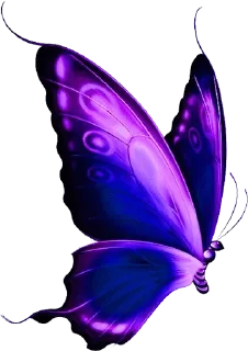 Telegram sticker 🦋 @wisdom_droplets 7 — @stckrRobot