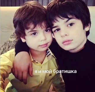 Video sticker 😍 На все случаи жизни