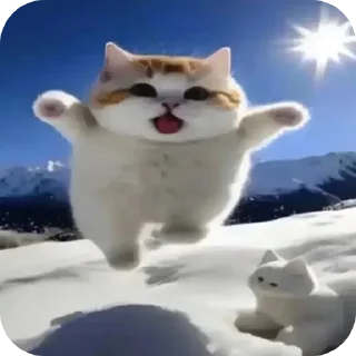 Telegram sticker 🐱 silly ahh : @adixtya_14