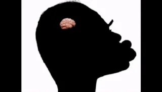 Telegram stiker 🧠 احساس میکنم همجنسگرا هستم