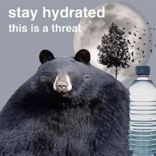 Telegram sticker 😑 Black Bear