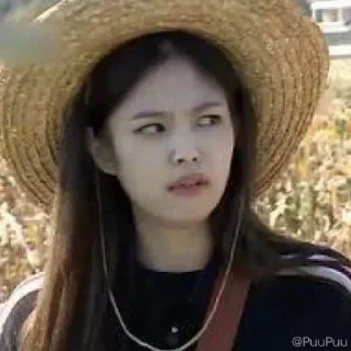 Video sticker 😠 blackpink