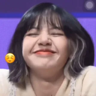 Telegram sticker ☺️ blackpink
