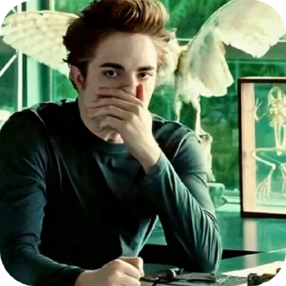 Video sticker 🖼 pmpck1