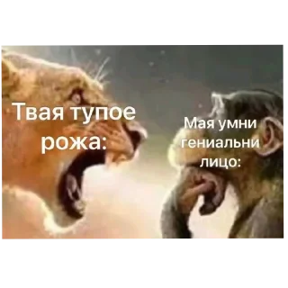 Video sticker 🖼 ебнутый @stickrubot